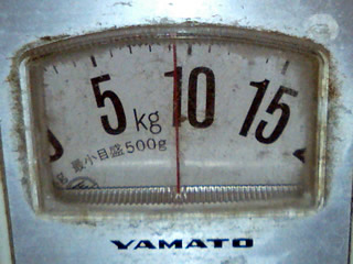 20070506_OZwheel_02.jpg