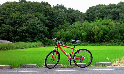 20090831_bicycle.jpg