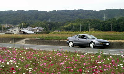 20091020_celica_05.jpg